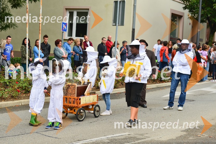 Lendavska trgatev 2015