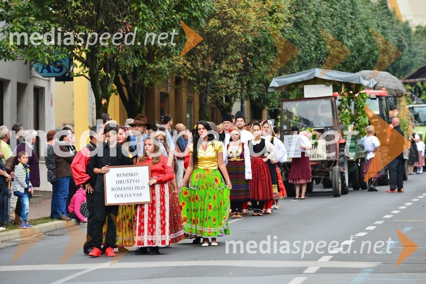 Lendavska trgatev 2015