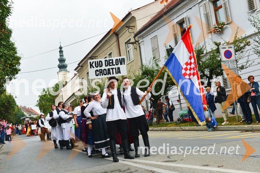 Lendavska trgatev 2015