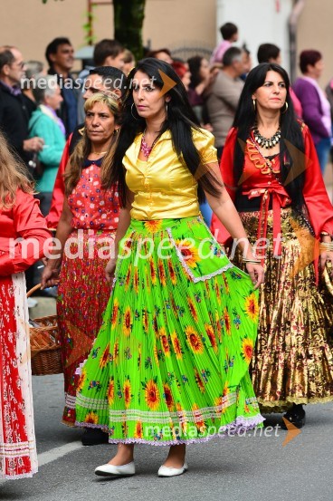 Lendavska trgatev 2015