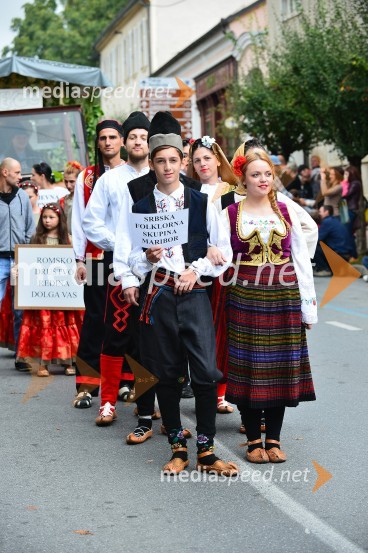 Lendavska trgatev 2015