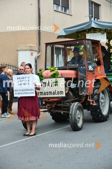 Lendavska trgatev 2015