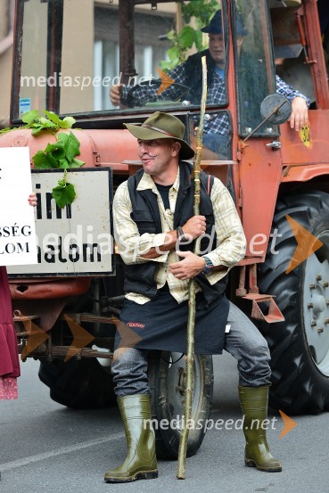 Lendavska trgatev 2015