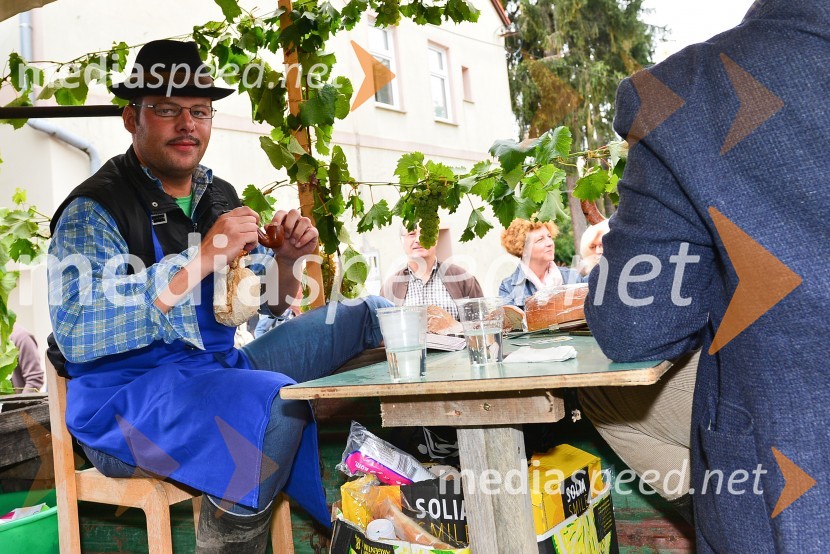 Lendavska trgatev 2015