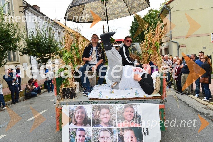 Lendavska trgatev 2015