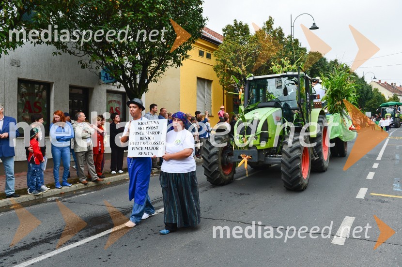Lendavska trgatev 2015