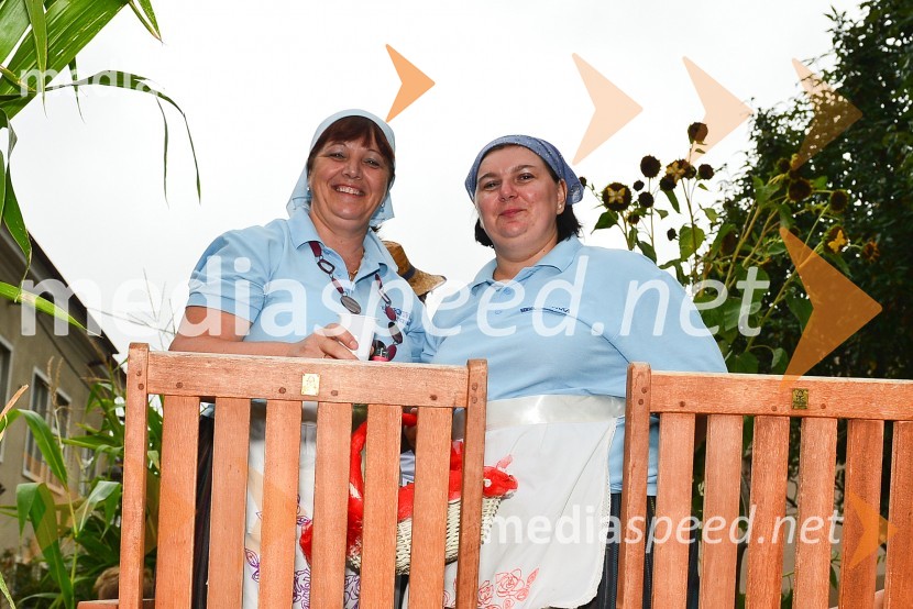 Lendavska trgatev 2015