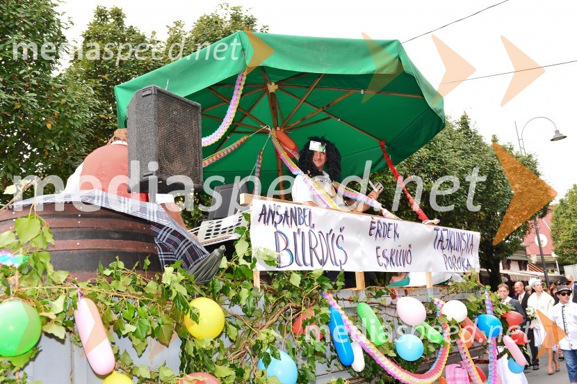 Lendavska trgatev 2015