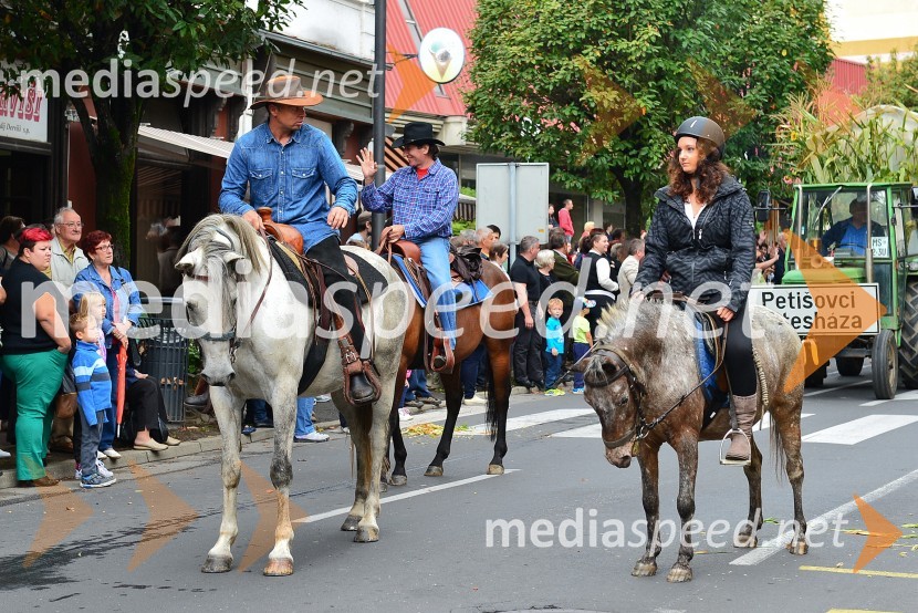 Lendavska trgatev 2015