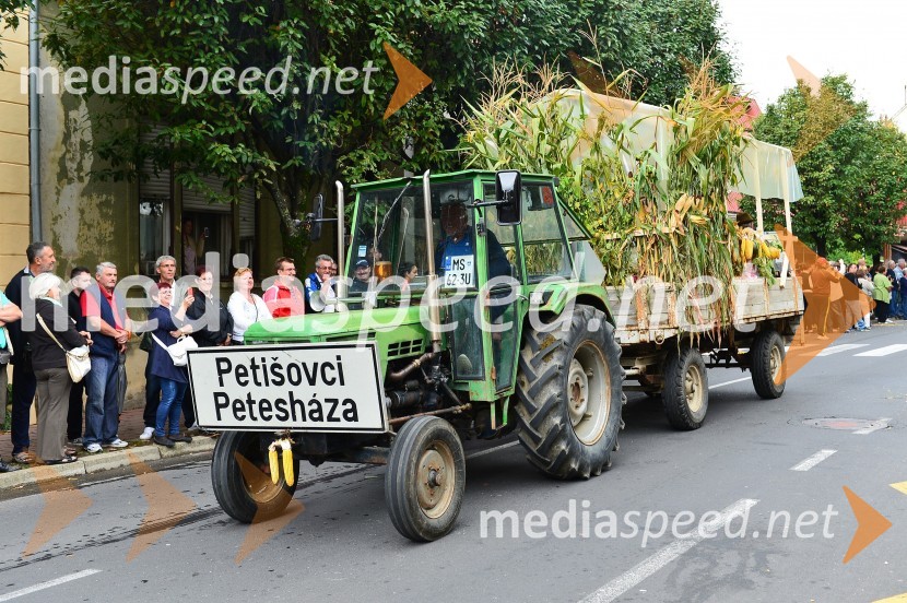 Lendavska trgatev 2015