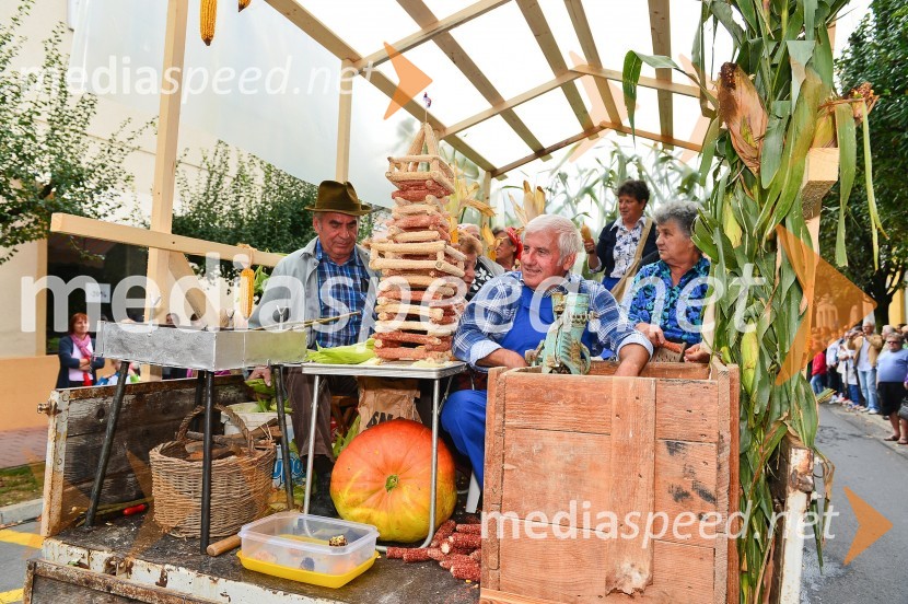 Lendavska trgatev 2015