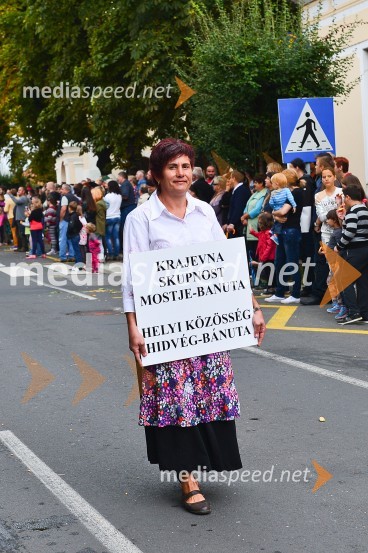 Lendavska trgatev 2015