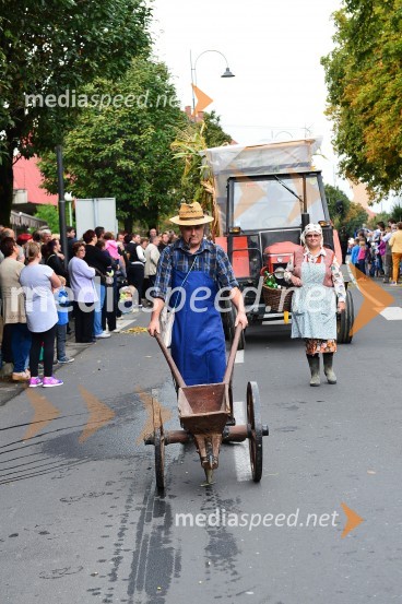 Lendavska trgatev 2015