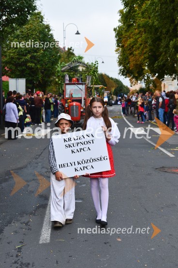 Lendavska trgatev 2015