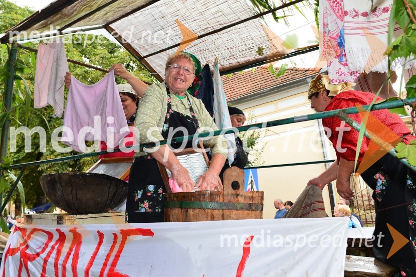 Lendavska trgatev 2015