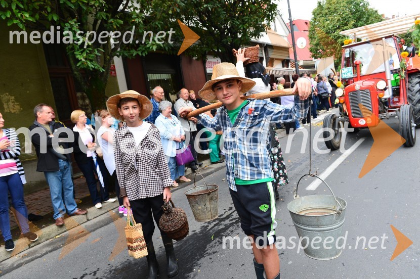 Lendavska trgatev 2015