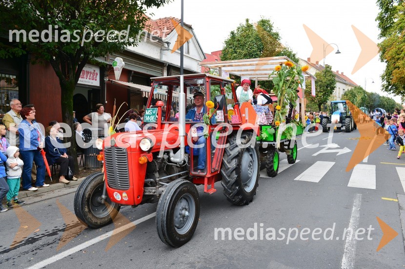 Lendavska trgatev 2015