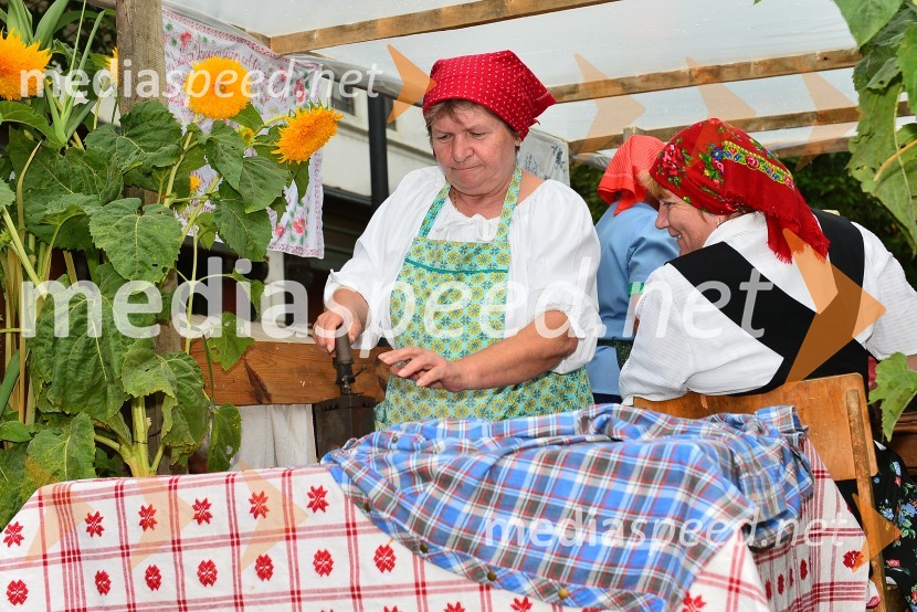 Lendavska trgatev 2015