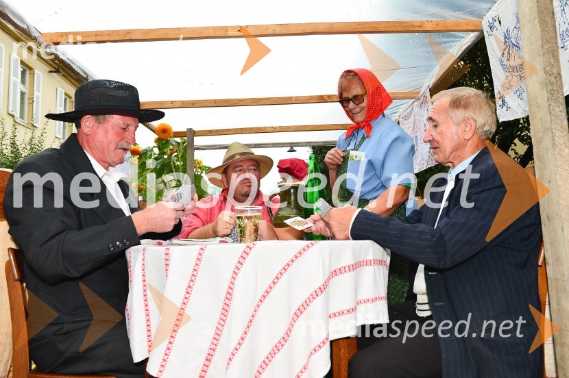 Lendavska trgatev 2015