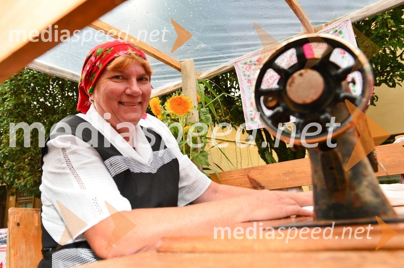 Lendavska trgatev 2015