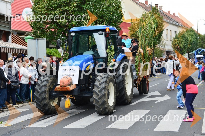 Lendavska trgatev 2015