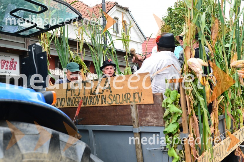 Lendavska trgatev 2015