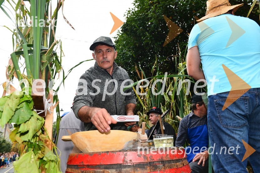 Lendavska trgatev 2015