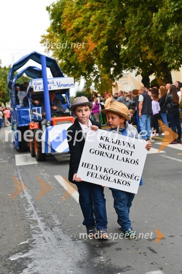 Lendavska trgatev 2015