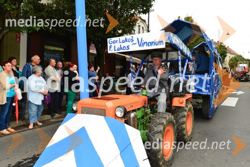 Lendavska trgatev 2015