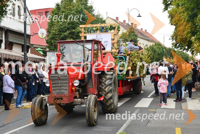 Lendavska trgatev 2015