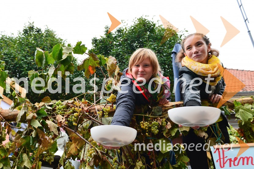 Lendavska trgatev 2015