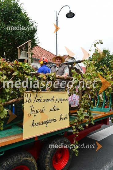 Lendavska trgatev 2015