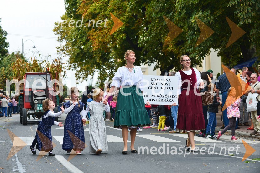 Lendavska trgatev 2015