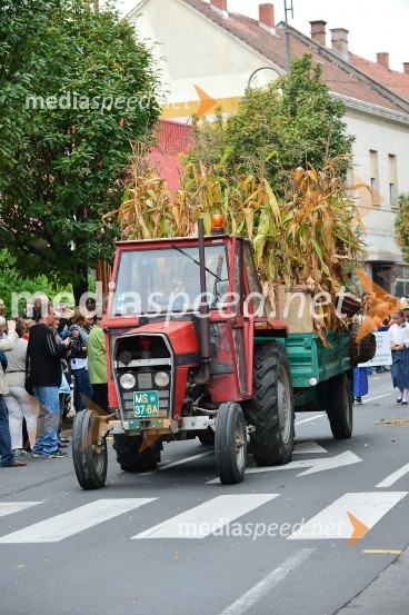 Lendavska trgatev 2015