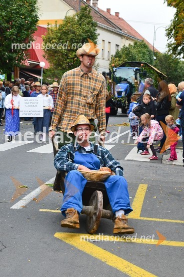 Lendavska trgatev 2015