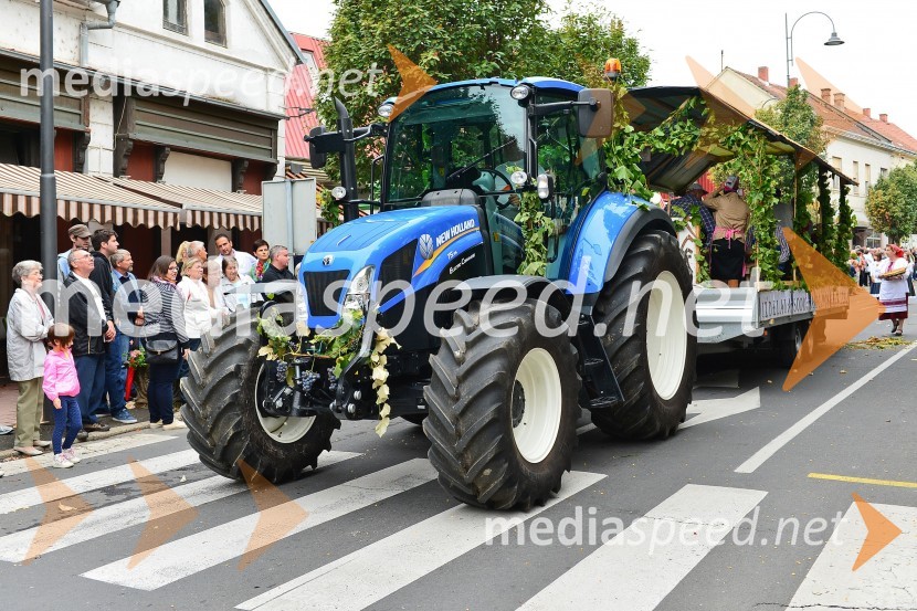 Lendavska trgatev 2015