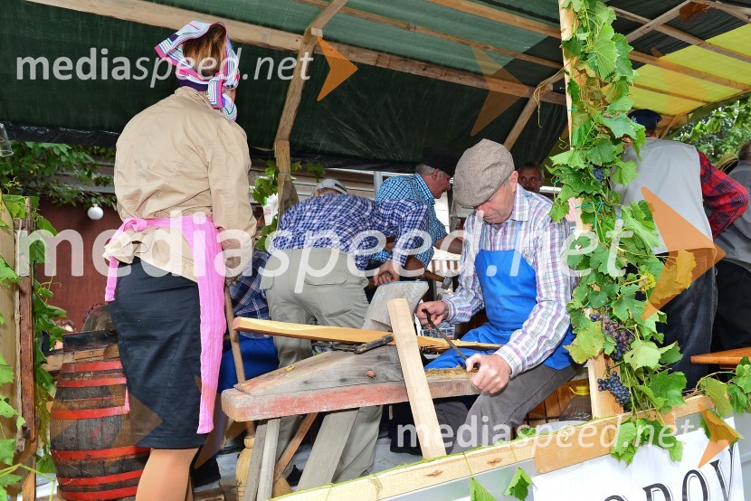 Lendavska trgatev 2015