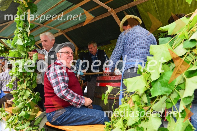 Lendavska trgatev 2015