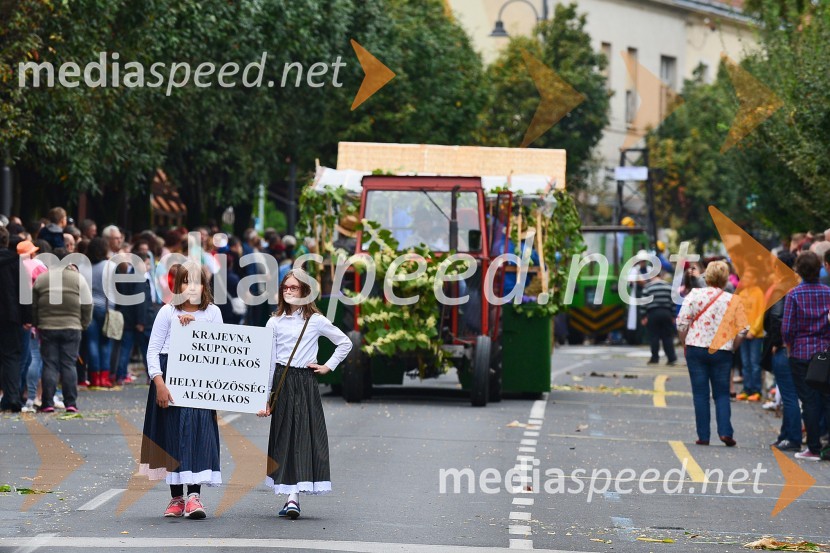 Lendavska trgatev 2015