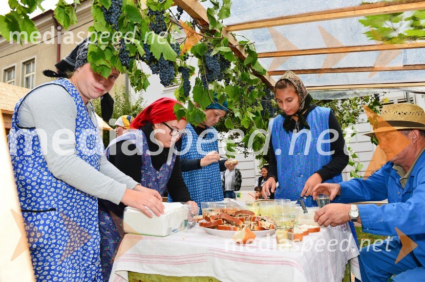 Lendavska trgatev 2015