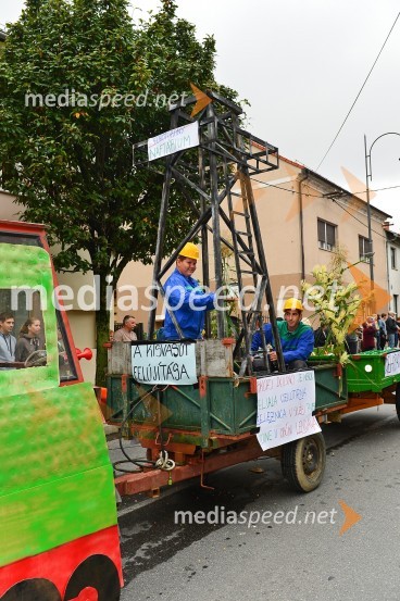 Lendavska trgatev 2015