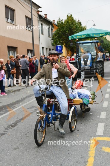 Lendavska trgatev 2015