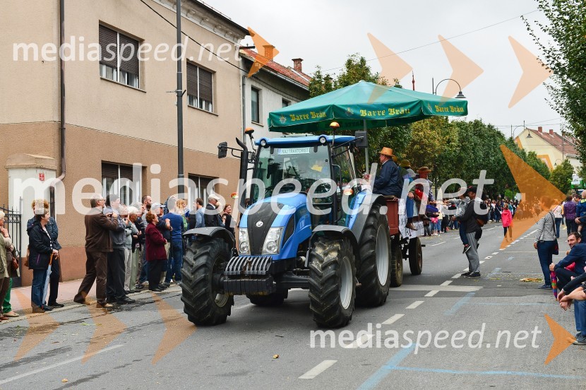 Lendavska trgatev 2015