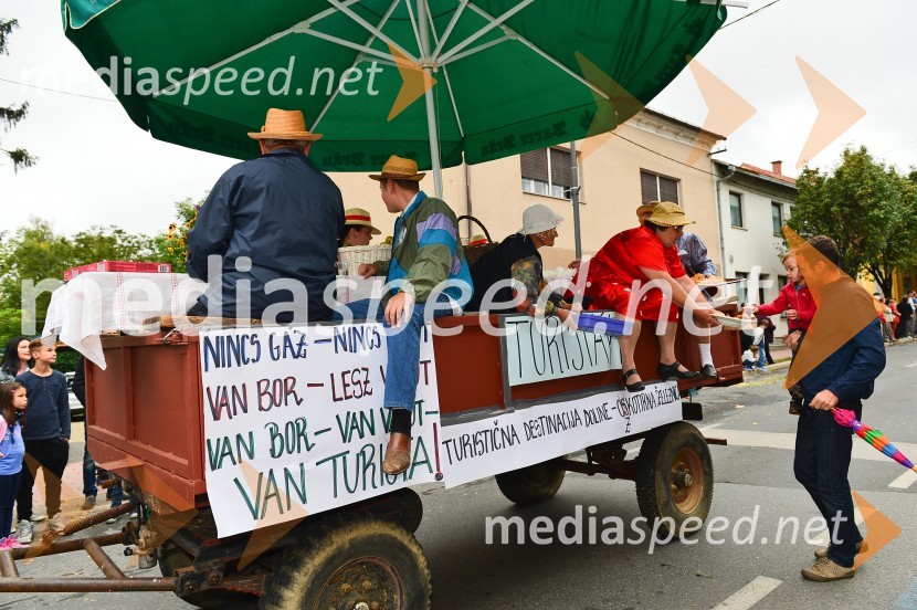 Lendavska trgatev 2015