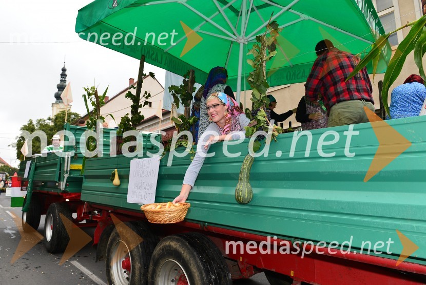 Lendavska trgatev 2015