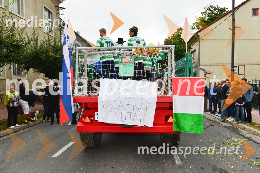 Lendavska trgatev 2015