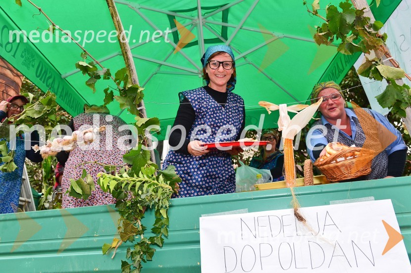 Lendavska trgatev 2015