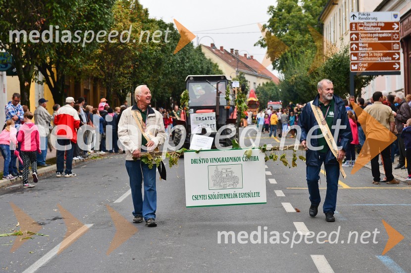 Lendavska trgatev 2015