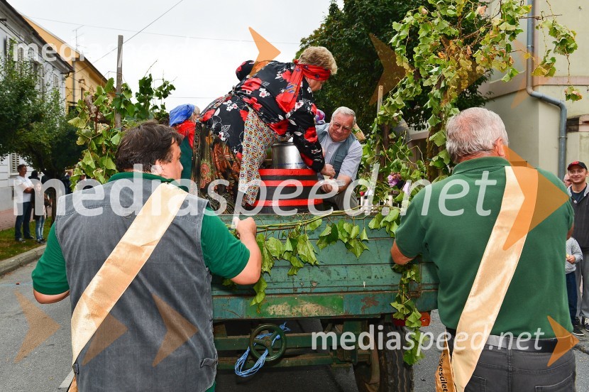 Lendavska trgatev 2015