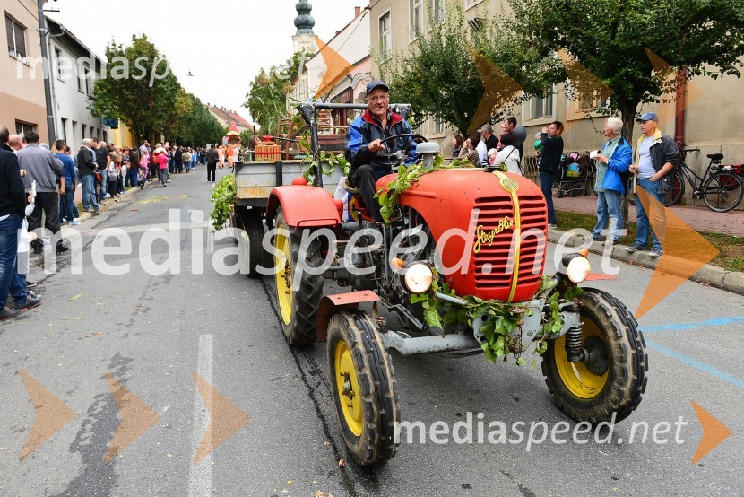 Lendavska trgatev 2015